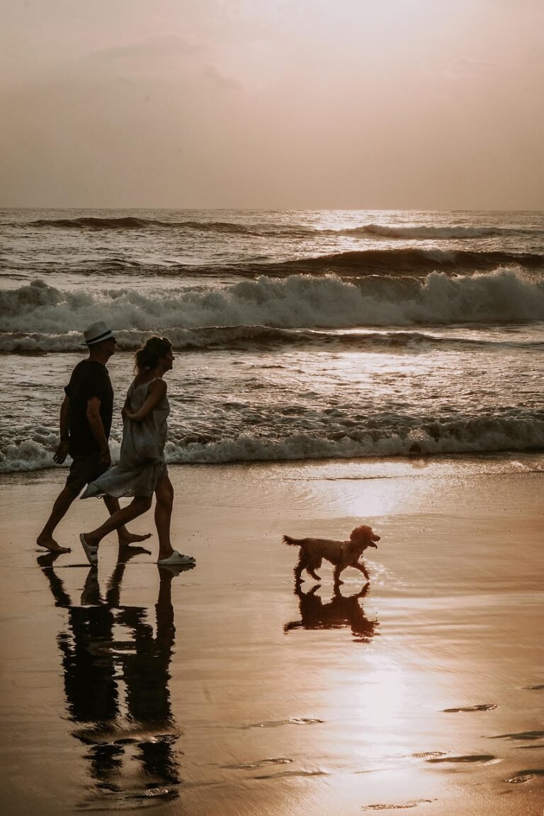 couple, nature, dog, walk, beach, bali, wave, shores, sea, animal, pet, ocean, sunset